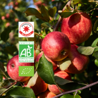 Ferme de l'Abondance